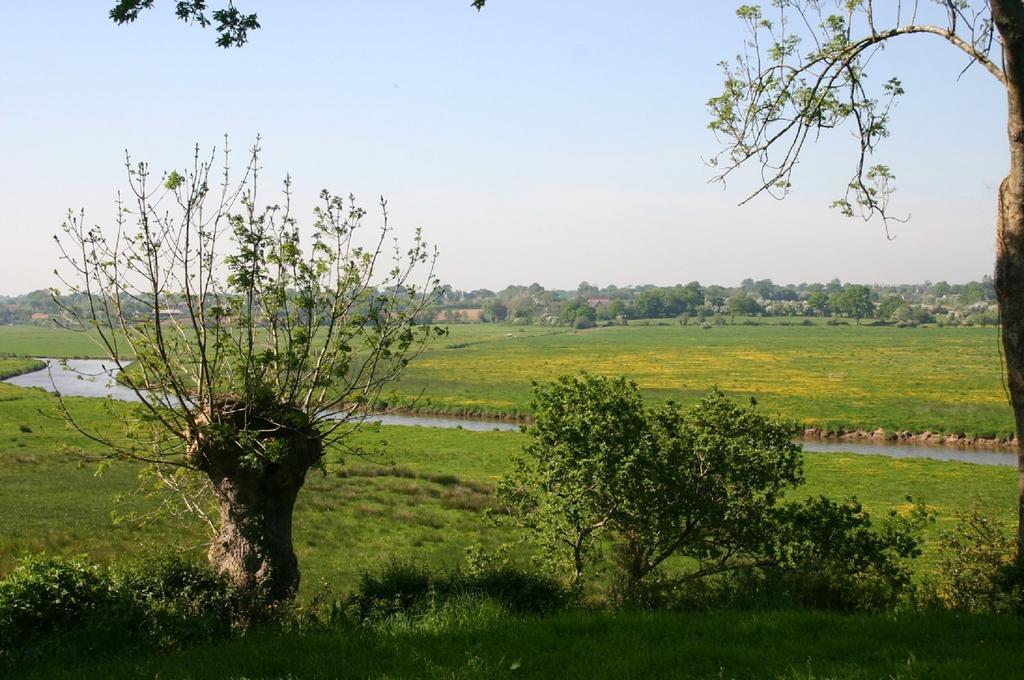 Gite Marguerite Les Moitiers-en-Bauptois 外观 照片